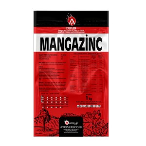 mangozinc kopya1